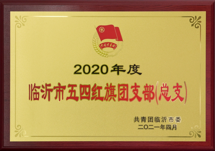 2020年度临沂市五四红旗团支部（总支）(图1)